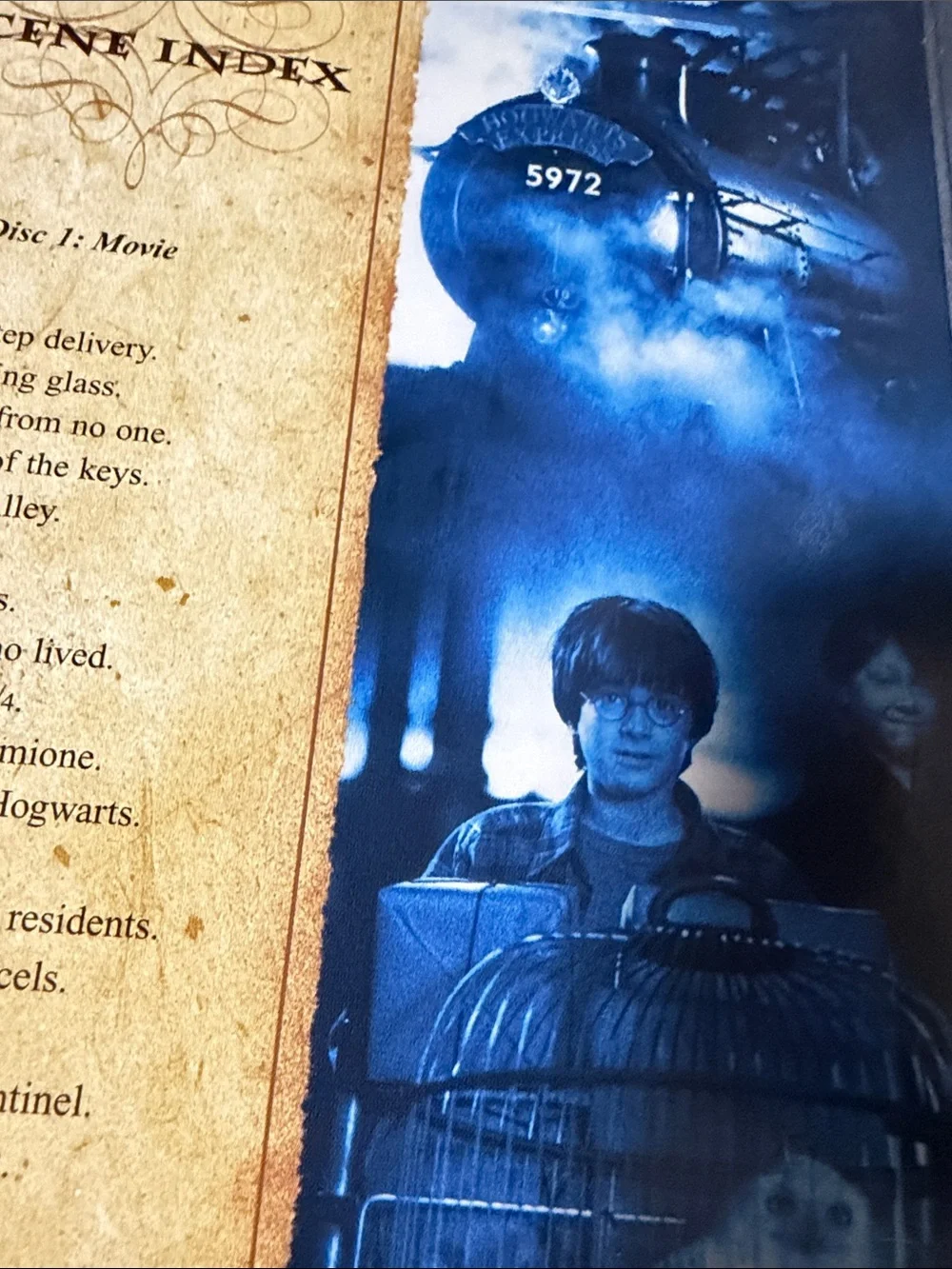 Warner Bros. Harry Potter DVD Disc - Blue & Gold Artwork